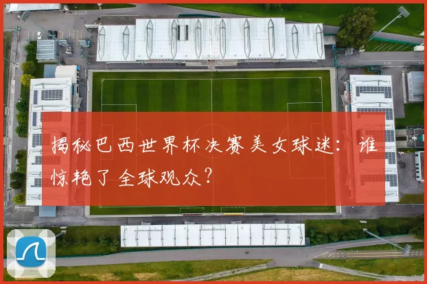 揭秘巴西世界杯决赛美女球迷：谁惊艳了全球观众？