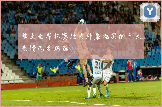 盘点世界杯赛场内外最搞笑的十大表情包名场面