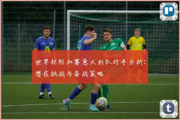 世界杯附加赛意大利队对手分析：潜在挑战与备战策略