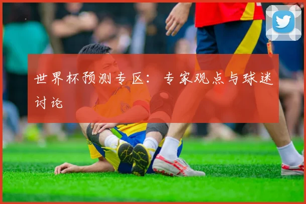 世界杯预测专区：专家观点与球迷讨论