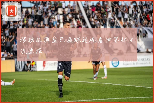 移动机顶盒已成球迷观看世界杯主流选择