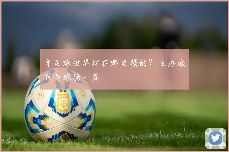 年足球世界杯在哪里踢的？主办城市与球场一览