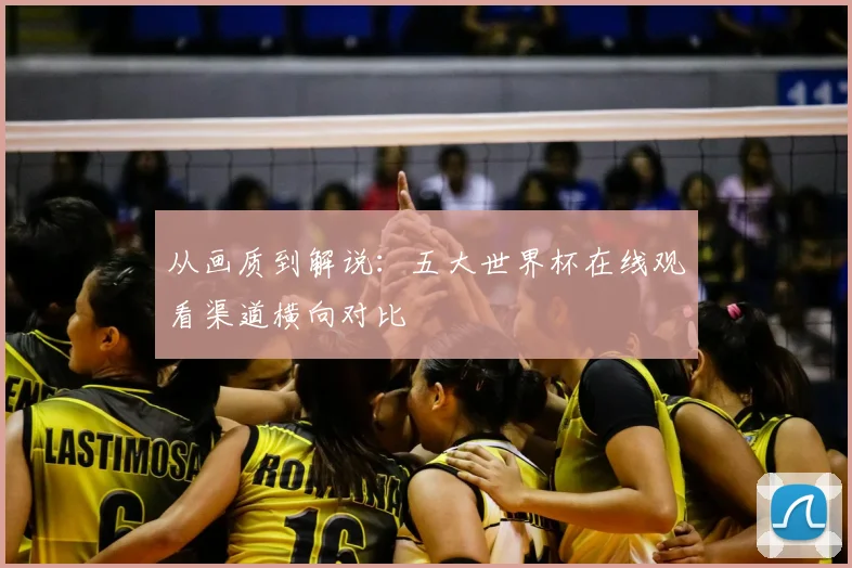 从画质到解说:五大世界杯在线观看渠道横向对比