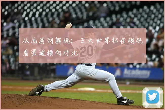 从画质到解说：五大世界杯在线观看渠道横向对比