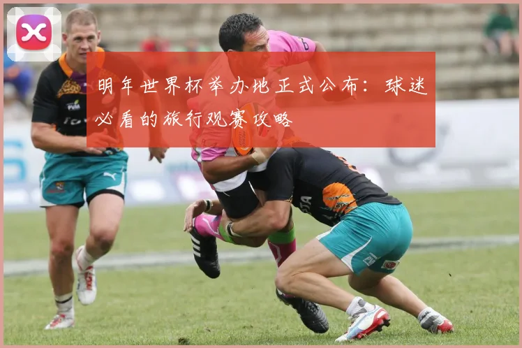 明年世界杯举办地正式公布：球迷必看的旅行观赛攻略