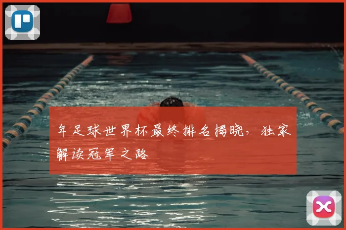 年足球世界杯最终排名揭晓，独家解读冠军之路