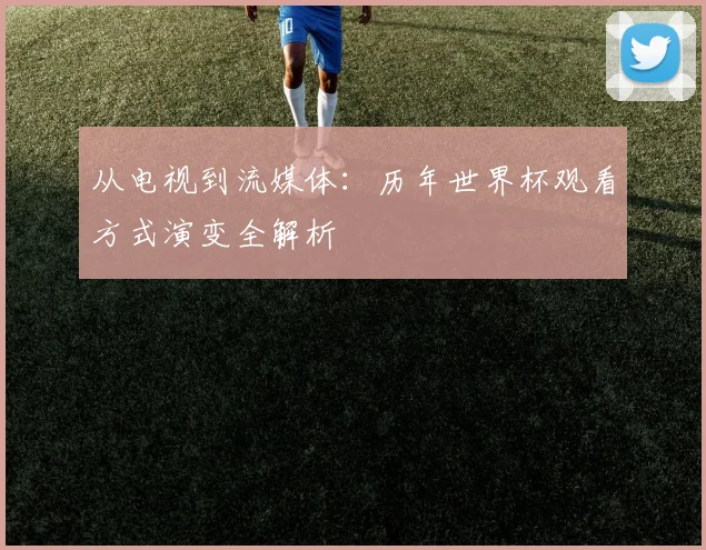 从电视到流媒体:历年世界杯观看方式演变全解析