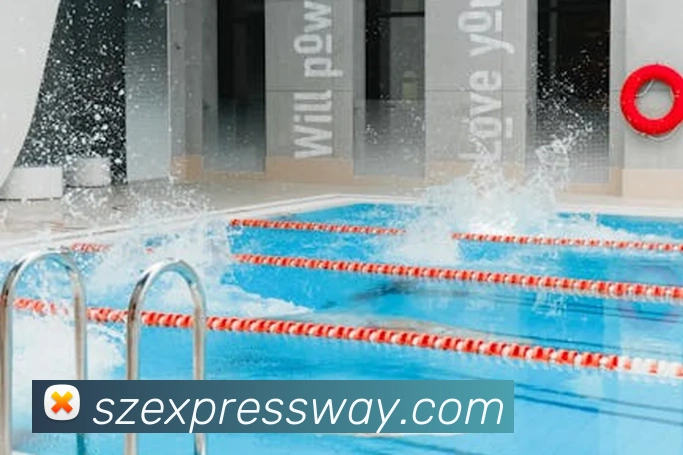 开云app官方入口网页版服务体系